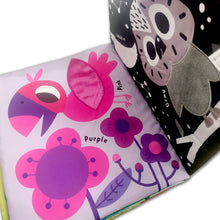 Load image into Gallery viewer, Baby Basics: Big Cloth Book – My Big and Touch-and-Feel Colors by Marion Billet