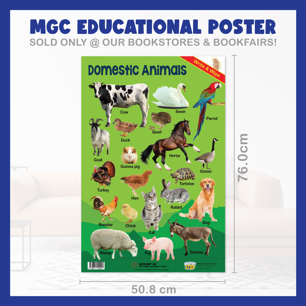 #12. Domestic Animals – Greatest Step Children's Educational Poster