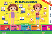 Load image into Gallery viewer, #16. My Incredible Body – Greatest Step Children&#39;s Educational Poster
