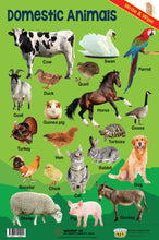 Load image into Gallery viewer, #12. Domestic Animals – Greatest Step Children&#39;s Educational Poster
